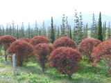 s_P1010329.jpg