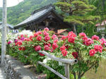 s_P1010745.jpg