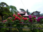 s_P1010747.jpg
