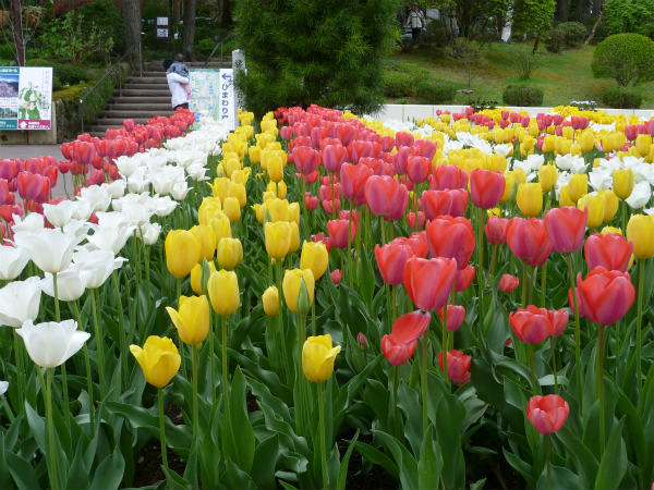 http://coop-kobayashi.com/blog/s_P1010682.jpg